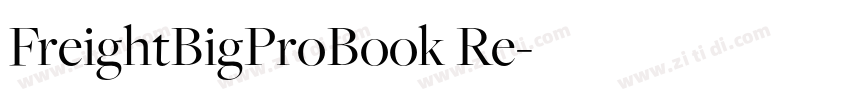 FreightBigProBook Re字体转换 FreightBigProBook Re字体转换